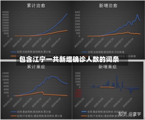 包含江宁一共新增确诊人数的词条-第2张图片