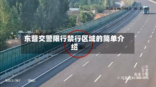 东营交警限行禁行区域的简单介绍