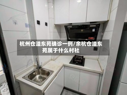 杭州仓溢东苑确诊一例/余杭仓溢东苑属于什么村社-第2张图片