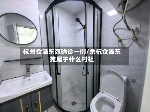 杭州仓溢东苑确诊一例/余杭仓溢东苑属于什么村社-第3张图片