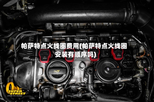 帕萨特点火线圈费用(帕萨特点火线圈安装有顺序吗)-第2张图片