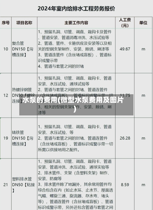 水泵的费用(微型水泵费用及图片)