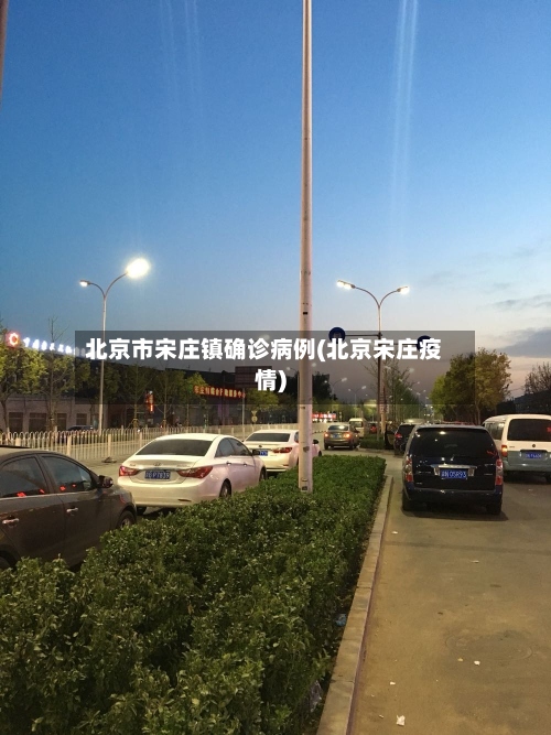 北京市宋庄镇确诊病例(北京宋庄疫情)-第2张图片