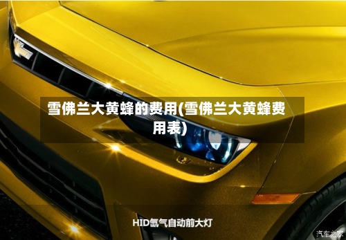 雪佛兰大黄蜂的费用(雪佛兰大黄蜂费用表)