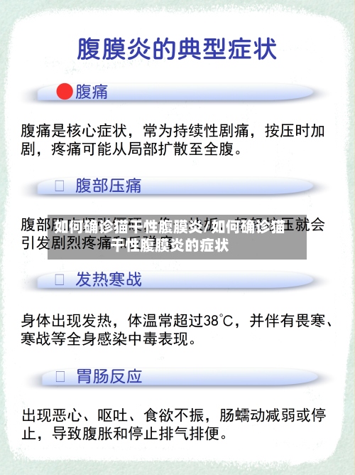 如何确诊猫干性腹膜炎/如何确诊猫干性腹膜炎的症状