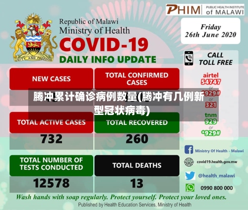 腾冲累计确诊病例数量(腾冲有几例新型冠状病毒)