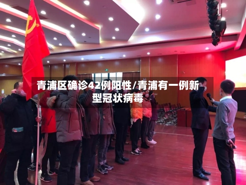 青浦区确诊42例阳性/青浦有一例新型冠状病毒-第2张图片