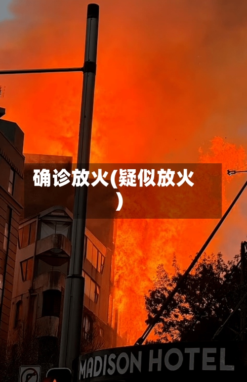 确诊放火(疑似放火)