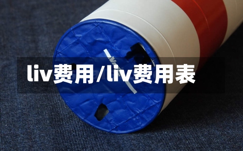 liv费用/liv费用表-第3张图片