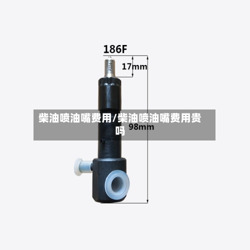 柴油喷油嘴费用/柴油喷油嘴费用贵吗-第3张图片
