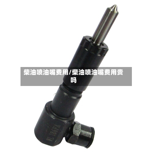 柴油喷油嘴费用/柴油喷油嘴费用贵吗