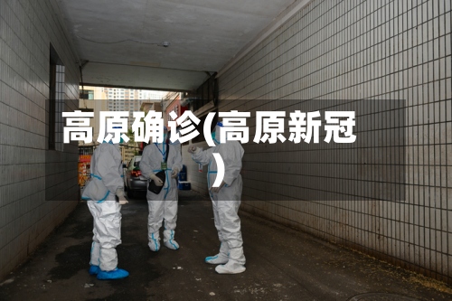 高原确诊(高原新冠)-第2张图片