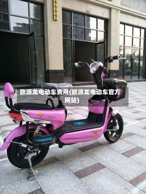 欧派龙电动车费用(欧派龙电动车官方网站)-第3张图片
