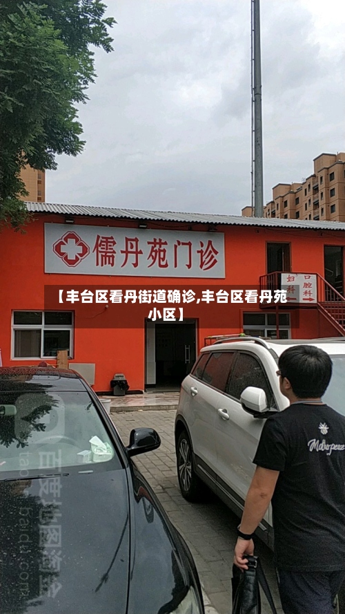 【丰台区看丹街道确诊,丰台区看丹苑小区】-第2张图片