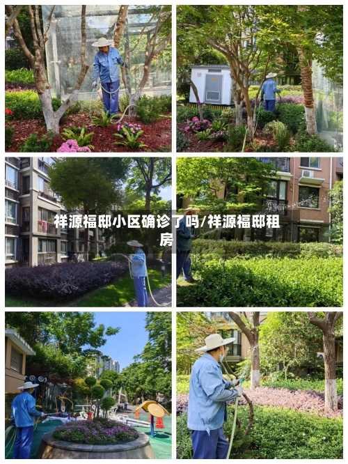 祥源福邸小区确诊了吗/祥源福邸租房-第3张图片