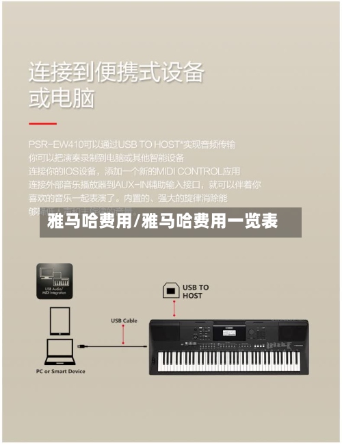 雅马哈费用/雅马哈费用一览表-第2张图片