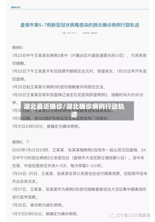 湖北最近确诊/湖北确诊病例行动轨迹-第3张图片