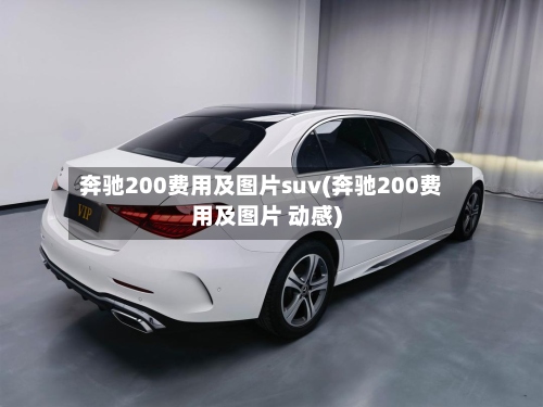 奔驰200费用及图片suv(奔驰200费用及图片 动感)-第2张图片