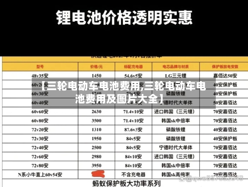 【三轮电动车电池费用,三轮电动车电池费用及图片大全】-第3张图片