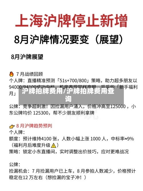 沪牌拍牌费用/沪牌拍牌费用查询