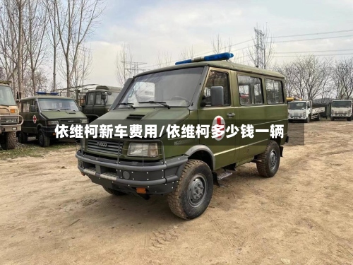依维柯新车费用/依维柯多少钱一辆-第3张图片