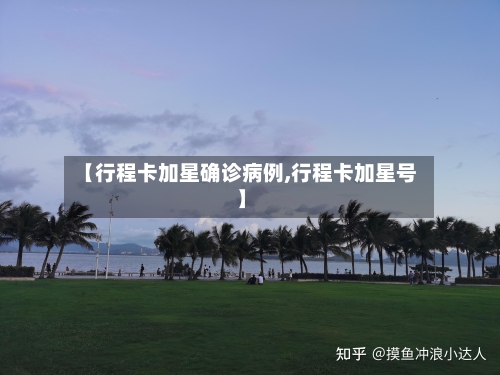 【行程卡加星确诊病例,行程卡加星号】-第2张图片