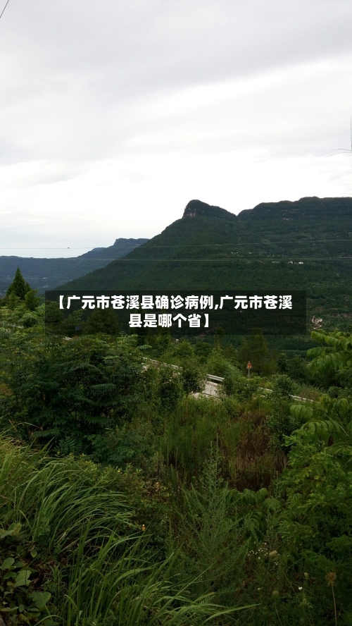【广元市苍溪县确诊病例,广元市苍溪县是哪个省】-第2张图片