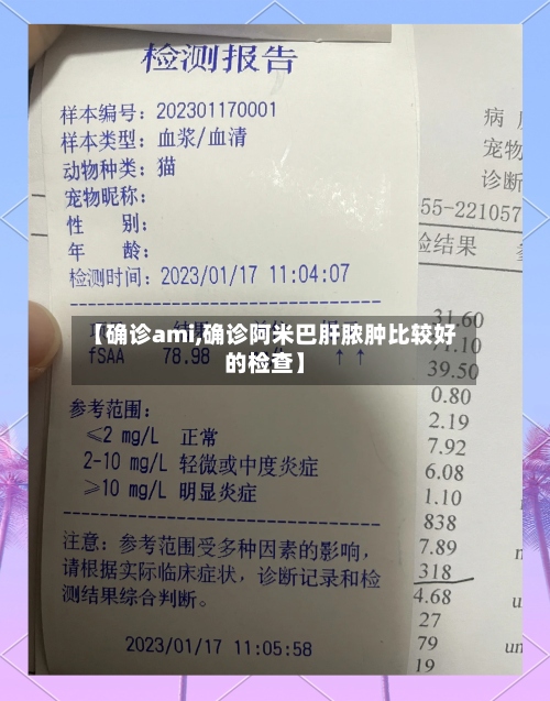 【确诊ami,确诊阿米巴肝脓肿比较好的检查】-第3张图片