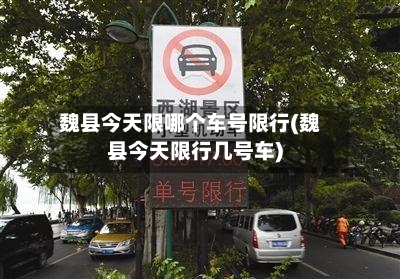 魏县今天限哪个车号限行(魏县今天限行几号车)-第3张图片