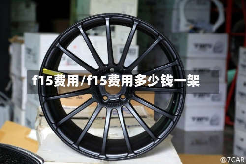 f15费用/f15费用多少钱一架-第3张图片