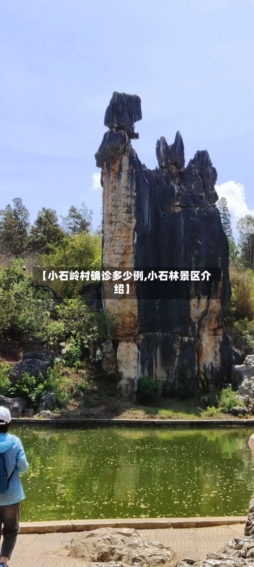 【小石岭村确诊多少例,小石林景区介绍】