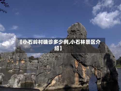 【小石岭村确诊多少例,小石林景区介绍】-第2张图片
