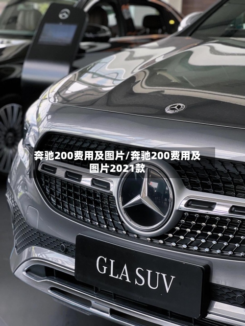 奔驰200费用及图片/奔驰200费用及图片2021款-第2张图片