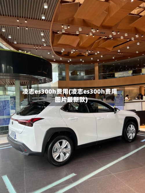 凌志es300h费用(凌志es300h费用图片最新款)-第2张图片