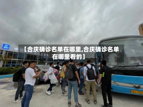【合庆确诊名单在哪里,合庆确诊名单在哪里看的】