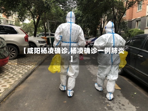 【咸阳杨凌确诊,杨凌确诊一例肺炎】-第3张图片