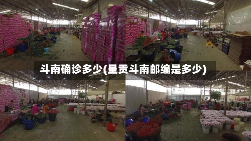 斗南确诊多少(呈贡斗南邮编是多少)