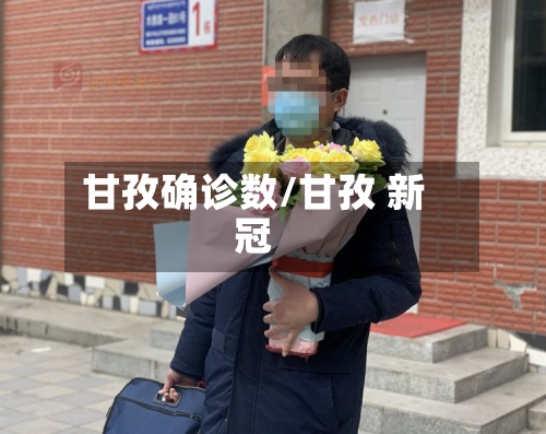 甘孜确诊数/甘孜 新冠