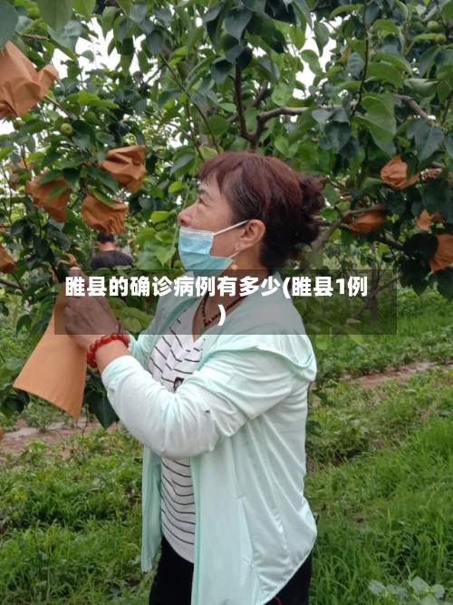 睢县的确诊病例有多少(睢县1例)