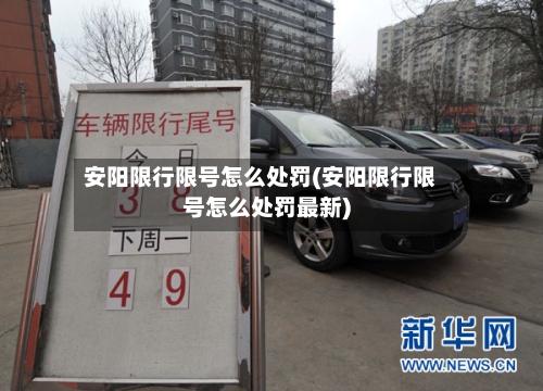 安阳限行限号怎么处罚(安阳限行限号怎么处罚最新)-第2张图片