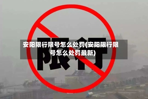 安阳限行限号怎么处罚(安阳限行限号怎么处罚最新)-第3张图片