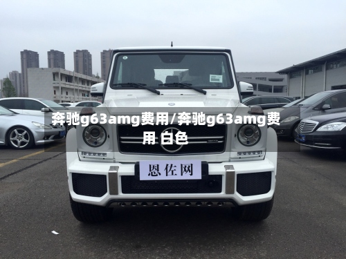 奔驰g63amg费用/奔驰g63amg费用 白色