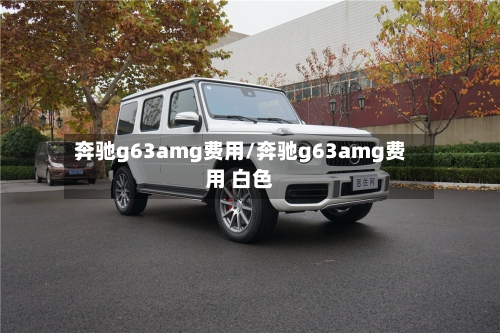奔驰g63amg费用/奔驰g63amg费用 白色-第3张图片