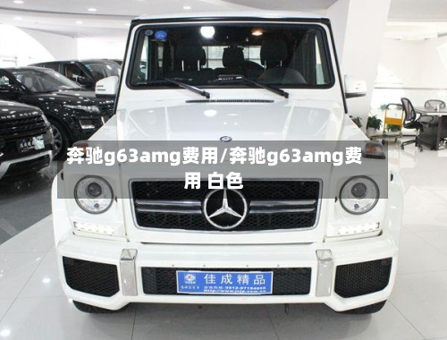 奔驰g63amg费用/奔驰g63amg费用 白色-第2张图片