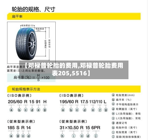【邓禄普轮胎的费用,邓禄普轮胎费用表205,5516】