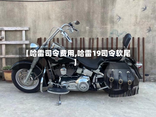 【哈雷司令费用,哈雷19司令软尾】-第2张图片