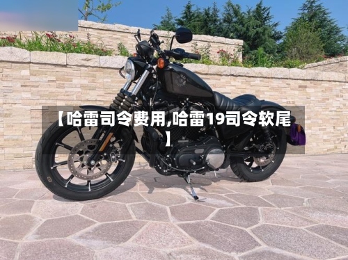 【哈雷司令费用,哈雷19司令软尾】