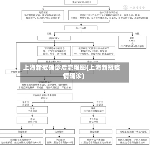 上海新冠确诊后流程图(上海新冠疫情确诊)-第2张图片