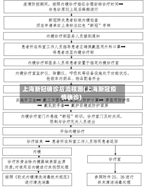 上海新冠确诊后流程图(上海新冠疫情确诊)