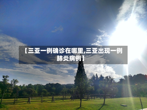 【三亚一例确诊在哪里,三亚出现一例肺炎病例】-第2张图片